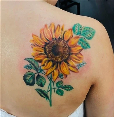 tatuador seis