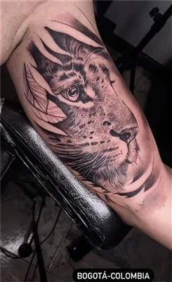O que significa tatuagem de meio tigre?